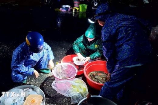 Phiên chợ ma Tha La – Đặc sản mùa nước nổi An Giang