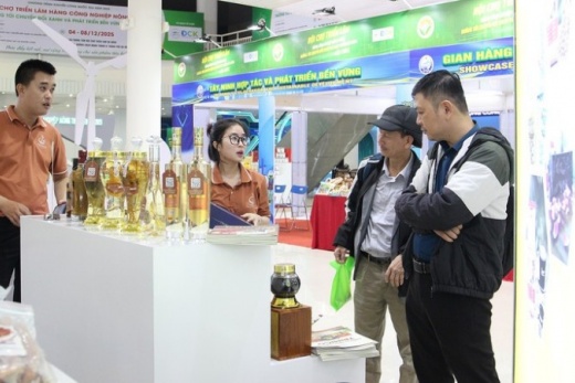 Triển lãm công nghiệp nông thôn quy mô lớn với hơn 200 gian hàng khai mạc tại Đà Nẵng