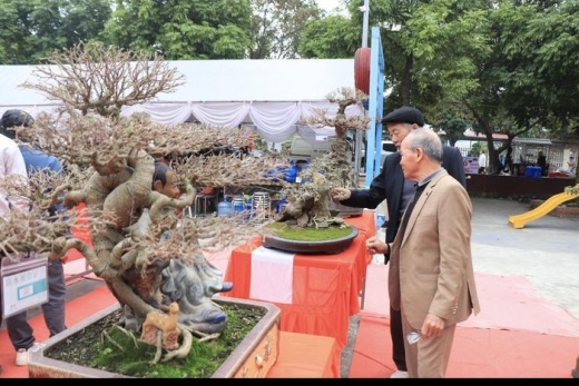 Trải nghiệm triển lãm sinh vật cảnh tại Phú Thọ: Nghệ thuật tinh tế, độc đáo trong từng tác phẩm